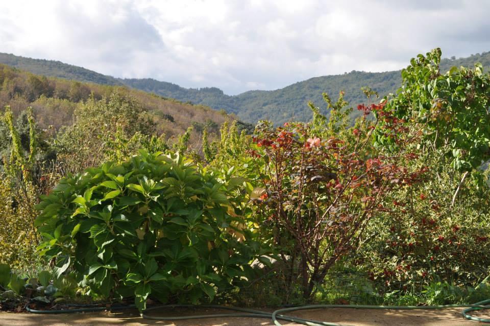 Mattale Villa Tonara ภายนอก รูปภาพ
